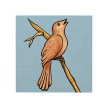 Nightingale Bird Illustration on Blue