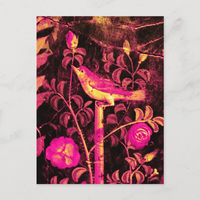 NIGHTINGALE WITH ROSES ,Pink Fuchsia Black Yellow Postcard (Front)
