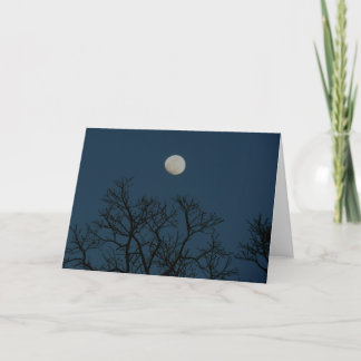 Nights Are Forever: A Love Note Holiday Card