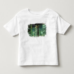 Nightscape, Shinjuku, Tokyo, Japan Toddler T-Shirt