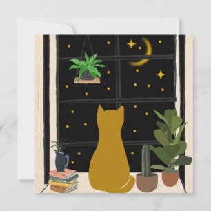 Nighttime Kitty