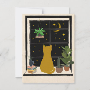 Nighttime Kitty Postcard