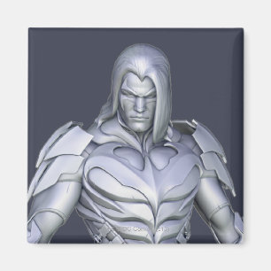 Nightwing Alternate Magnet