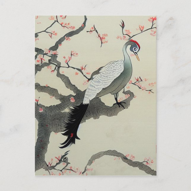 Nihonga Japan Traditional Bird Cherry Blossom Postcard (Front)