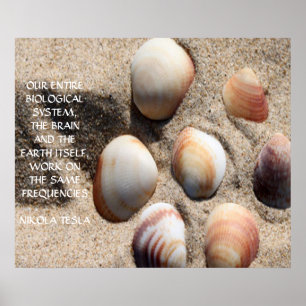 NIKOLA TESLA QUOTE - SAME FREQUENCIES - POSTER