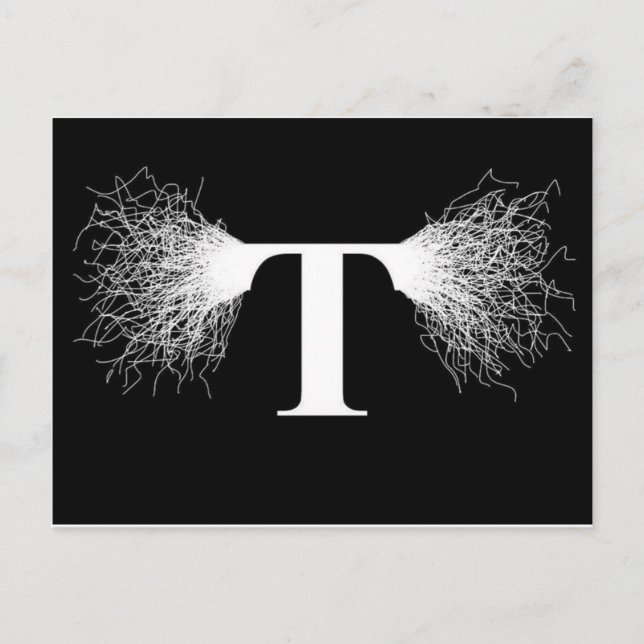 Nikola Tesla - Tesla Coil - Lightning Postcard (Front)