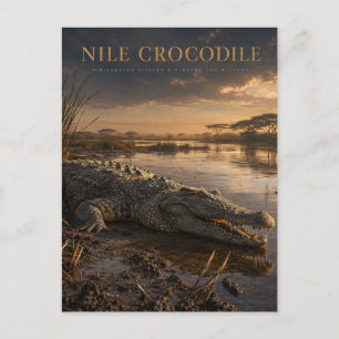 Nile Crocodile African River ANIMALS Postcard