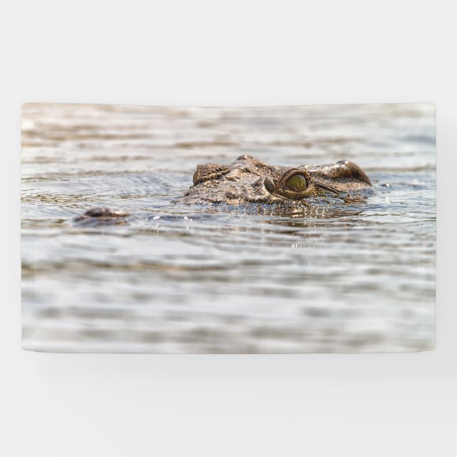 Nile Crocodile Banner (Horizontal)