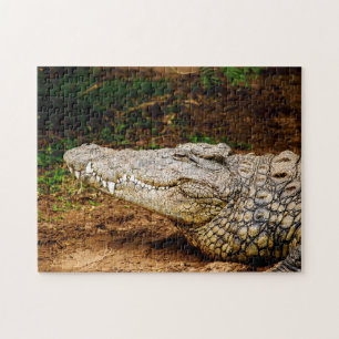Nile Crocodile, Jigsaw Puzzle