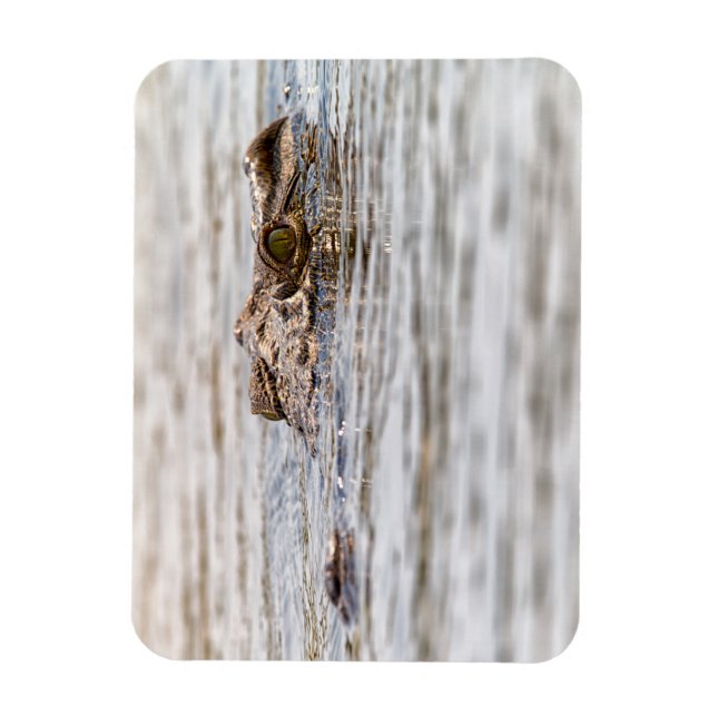 Nile Crocodile Magnet (Vertical)