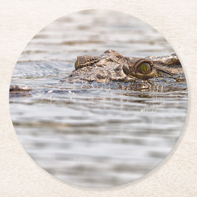 Nile Crocodile Round Paper Coaster (Front)