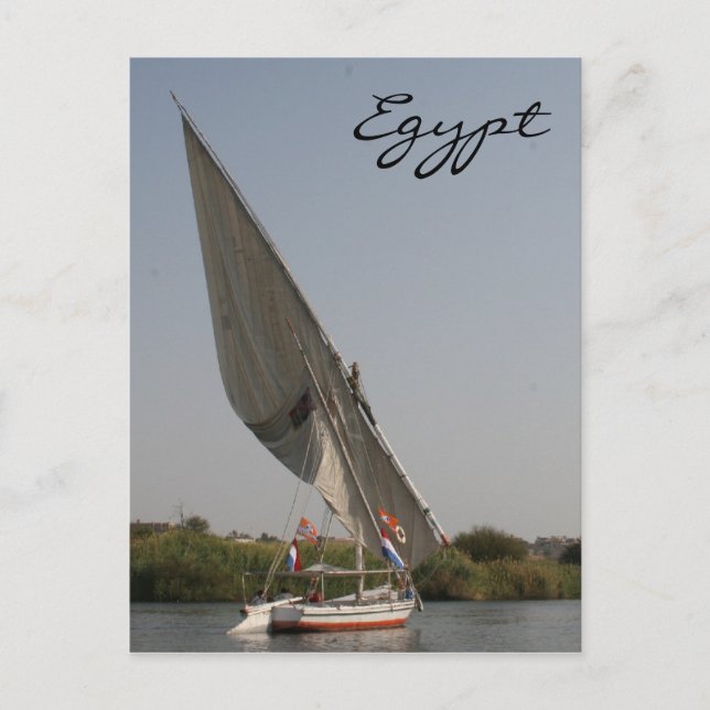 nile felucca egypt postcard (Front)