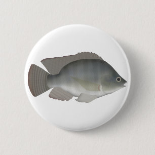 Nile Tilapia Button
