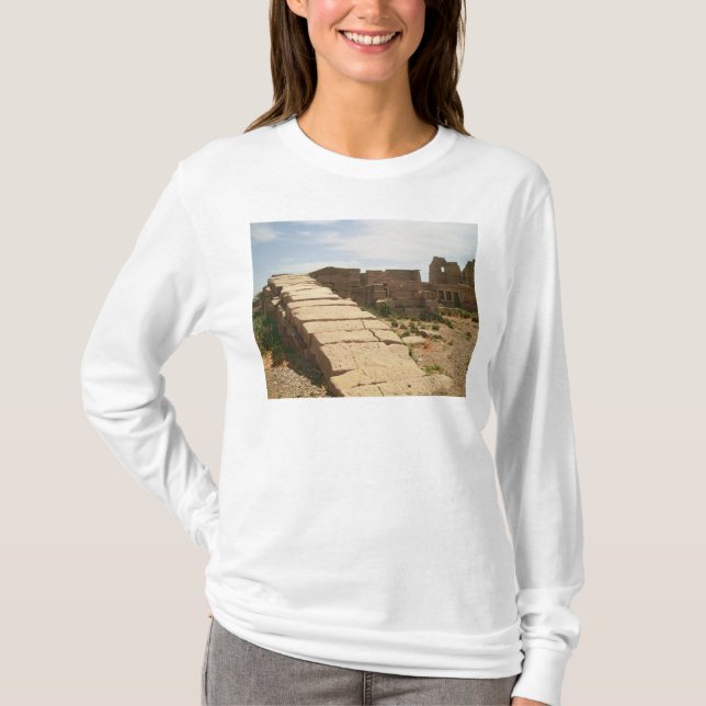 Nilometer, from the Mortuary T-Shirt (Front)
