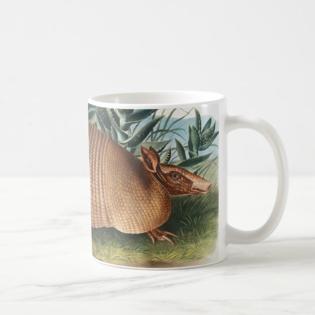Nine-banded Armadillo (Dasypus Peba) Illustration Coffee Mug (Right)
