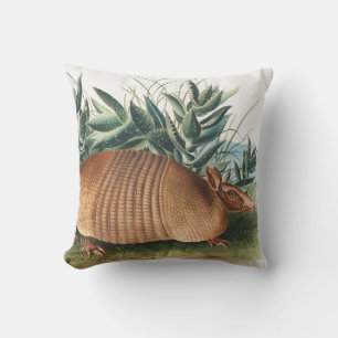 Nine-banded Armadillo (Dasypus Peba) Illustration Cushion