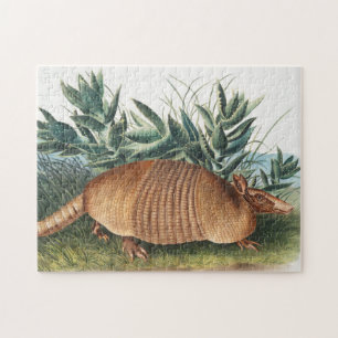 Nine-banded Armadillo (Dasypus Peba) Illustration Jigsaw Puzzle