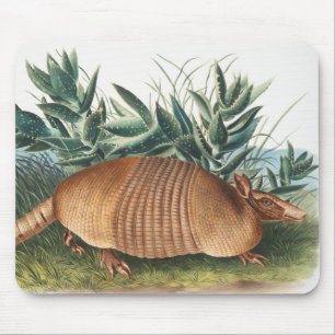 Nine-banded Armadillo (Dasypus Peba) Illustration Mouse Mat