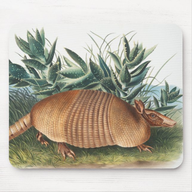 Nine-banded Armadillo (Dasypus Peba) Illustration Mouse Mat (Front)