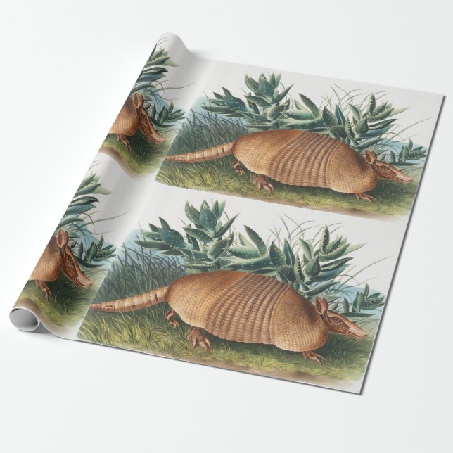 Nine-banded Armadillo (Dasypus Peba) Illustration Wrapping Paper (Unrolled)