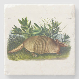 Nine-Banded, Long-nosed Armadillo by Audubon Stone Coaster