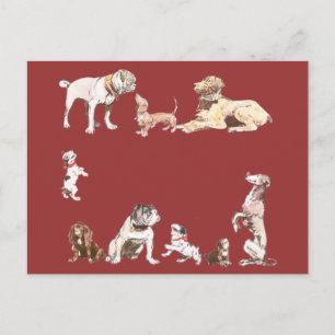 Nine Dogs Postcard