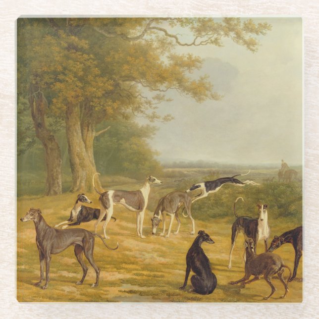 Nine Greyhounds in a Landscape (oil on canvas) Glass Coaster (Front)