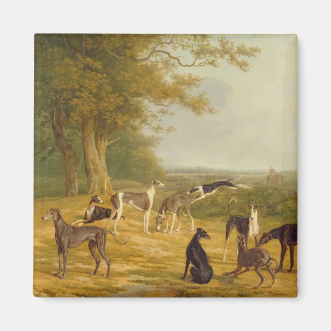 Nine Greyhounds in a Landscape (oil on canvas) Magnet (Front)