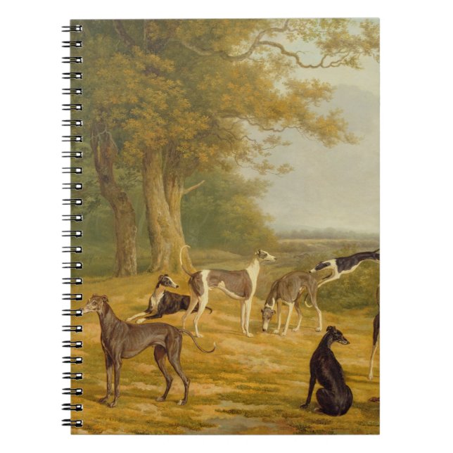 Nine Greyhounds in a Landscape (oil on canvas) Notebook (Front)