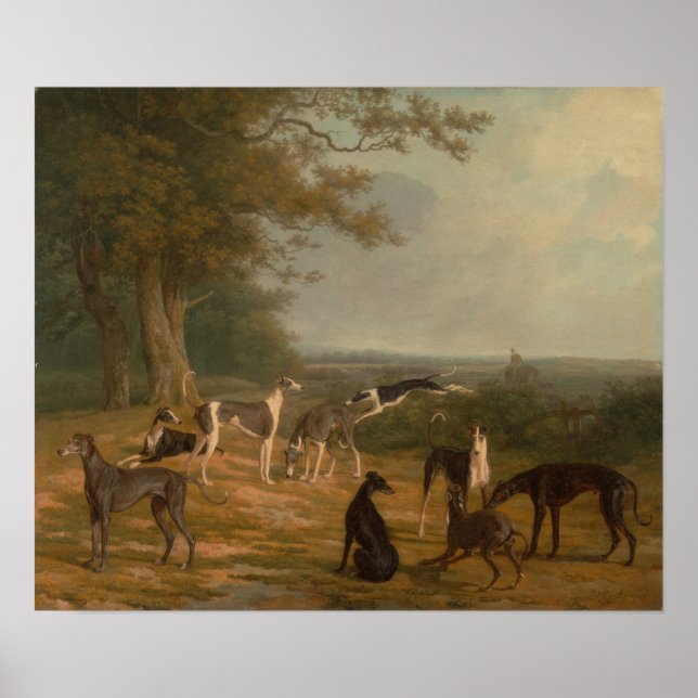 Nine Greyhounds in a Landscape Poster (Front)