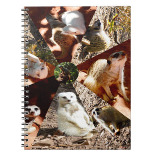 Nine Meerkat Triangles, Notebook