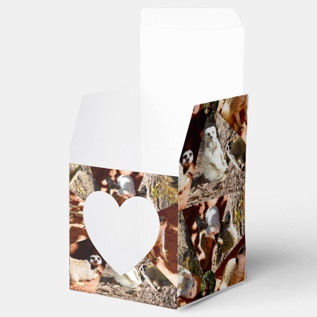 Nine Meerkat Triangles, Party Favor Box (Opened)