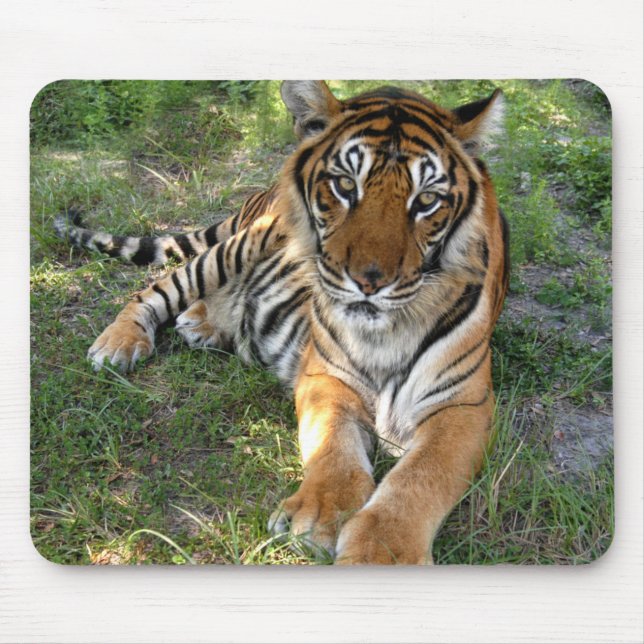 nini 005 mouse mat (Front)