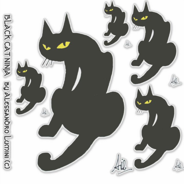 NINJA BLACK CAT (Front)