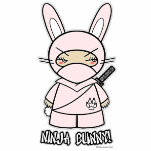 Ninja Bunny! Photo Sculpture