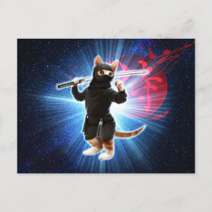 Ninja Cat in space. Postcard