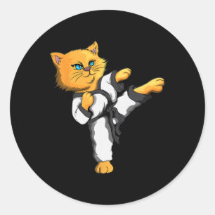 Ninja Cat Karate Martial Arts Taekwondo Cat Owner  Classic Round Sticker
