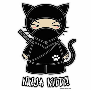 Ninja Kitty! Photo Sculpture