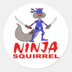 Ninja Squirrel Classic Round Sticker