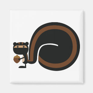 Ninja Squirrel Magnet