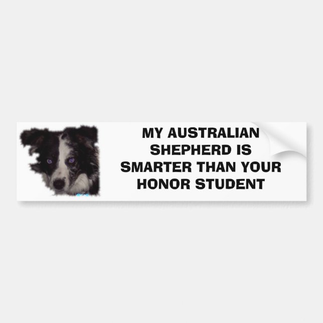 Niobe CO, MY AUSTRALIAN SHEPHERD IS SMARTER THA... Bumper Sticker (Front)