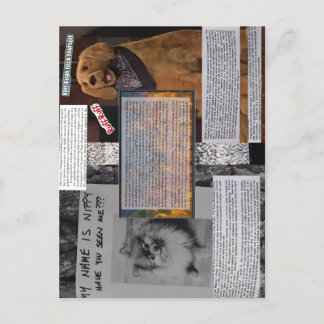 Nippy & Rusty Postcard: "Art Strike!"; Boludez Postcard