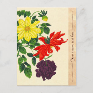 Nishimura Hodo Dahlias oriental japanese flowers Postcard