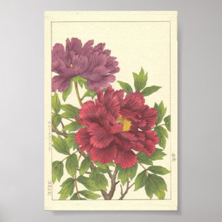 Nishimura Hodo Peony Japanese Flowers Fine Art Poster