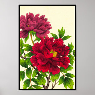 Nishimura Hodo Peony japanese flowers fine art Poster