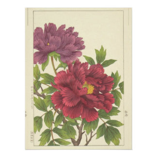 Nishimura Hodo Peony Japanese Flowers Fine Art Poster