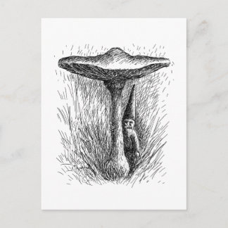Nisse Elf Behind a Toadstool Postcard