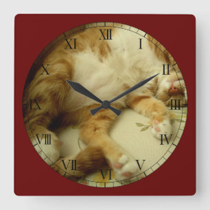 Nite Nite Dreaming Cat Wall Clock