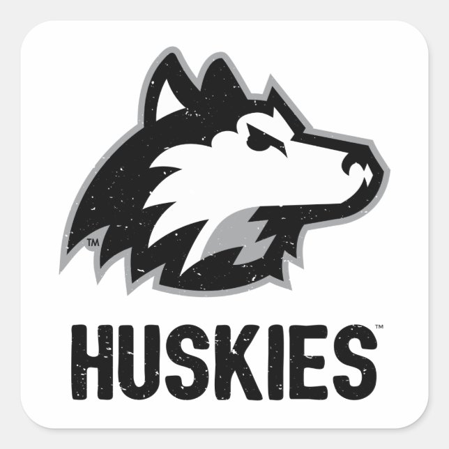 NIU Huskies Distressed Square Sticker (Front)
