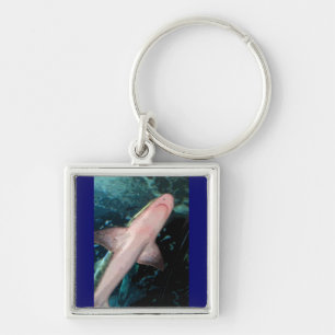 NJ Shark CB Key Ring